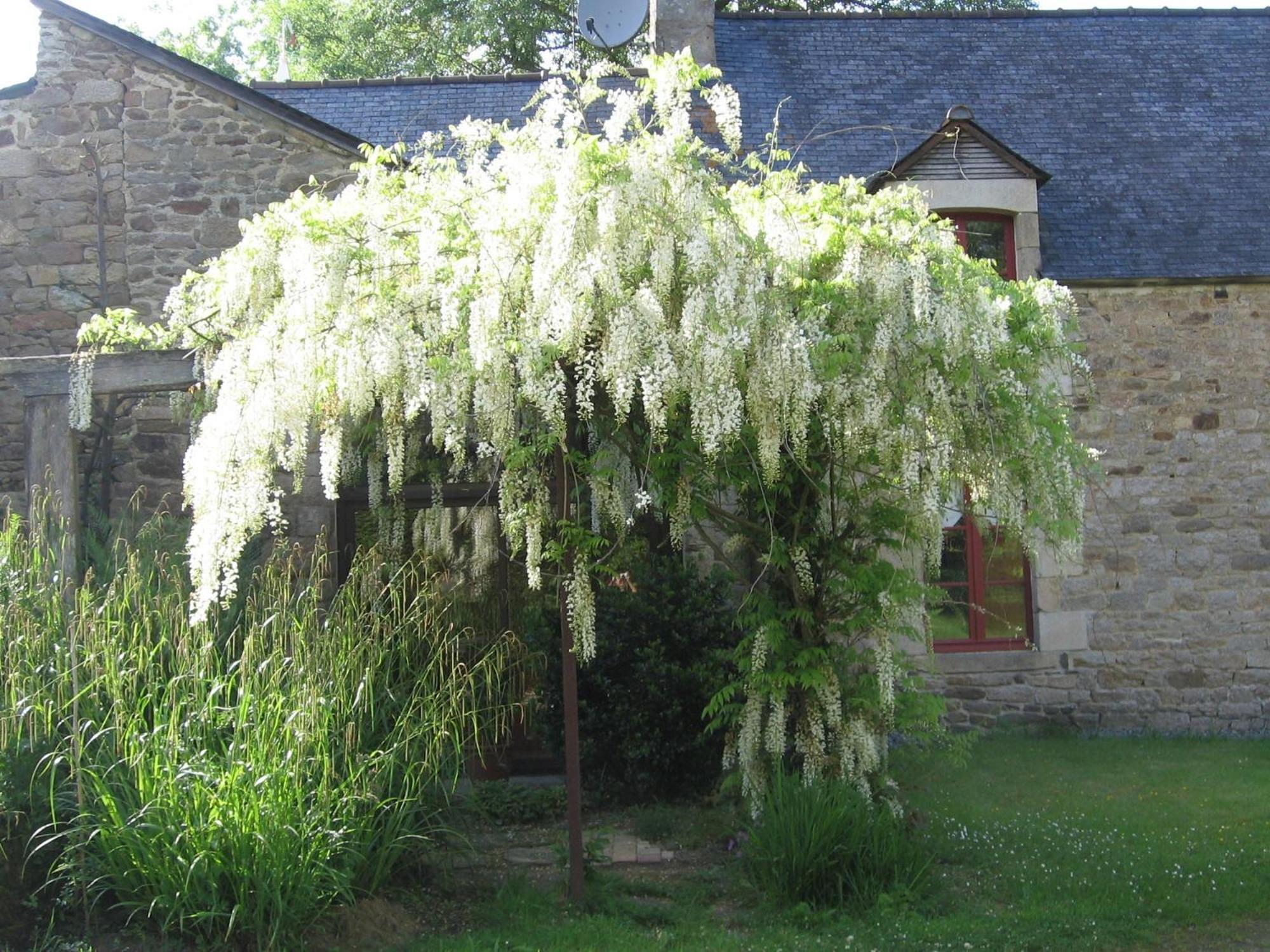 La Guyonnais Bed and Breakfast Quévert Buitenkant foto
